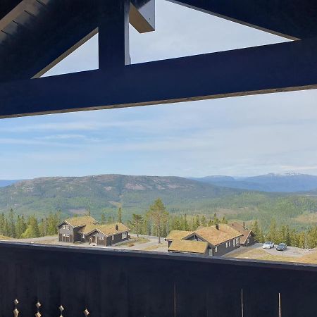 Wonderful Cabin With Amazing Mountain - View Lifjell Luaran gambar