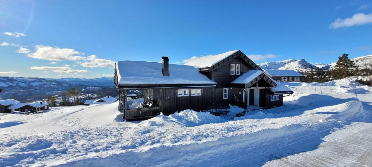 Wonderful Cabin With Amazing Mountain - View Lifjell Luaran gambar