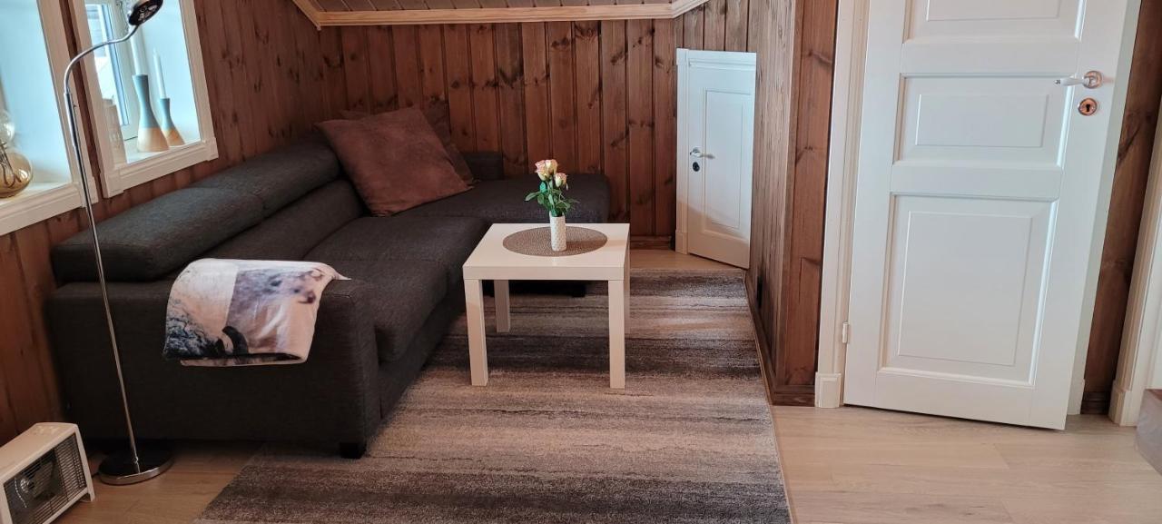Wonderful Cabin With Amazing Mountain - View Lifjell Luaran gambar