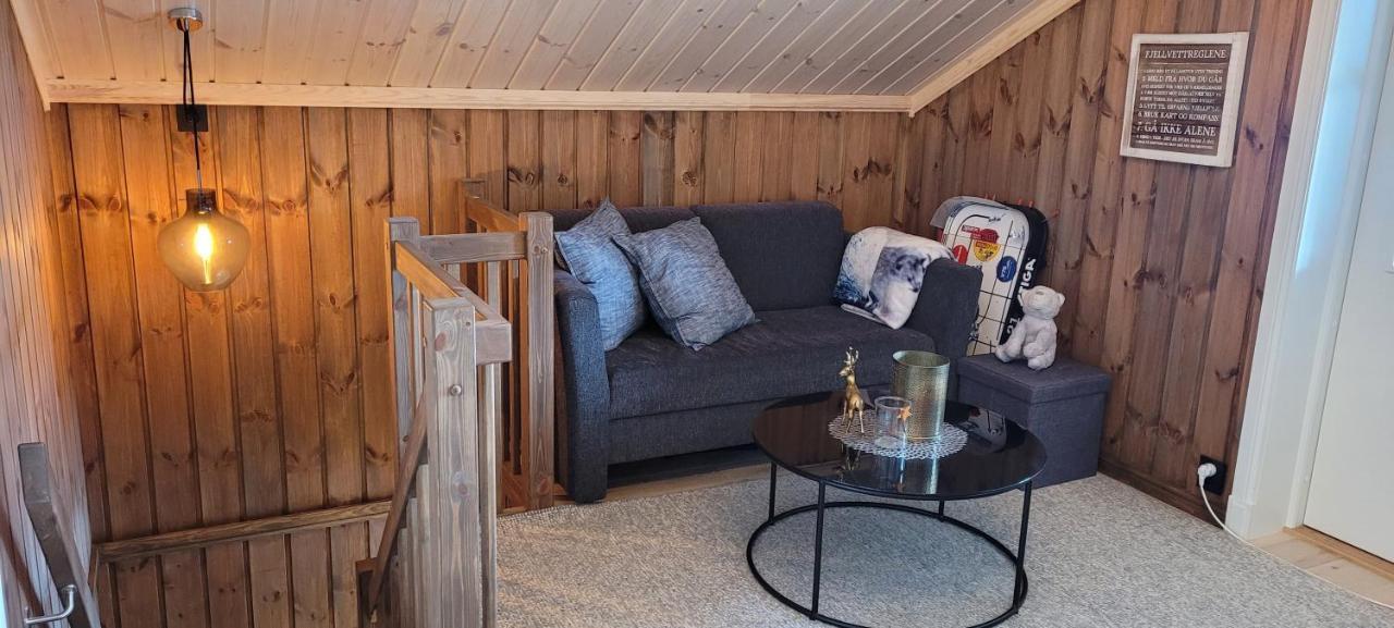 Wonderful Cabin With Amazing Mountain - View Lifjell Luaran gambar