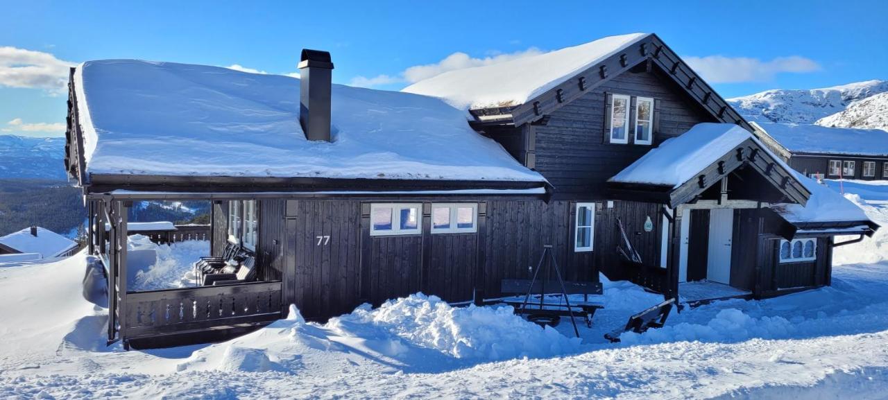 Wonderful Cabin With Amazing Mountain - View Lifjell Luaran gambar