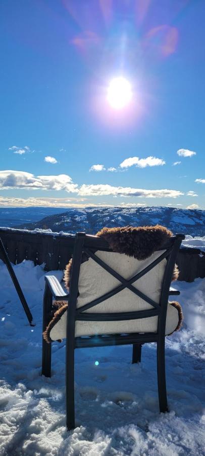 Wonderful Cabin With Amazing Mountain - View Lifjell Luaran gambar