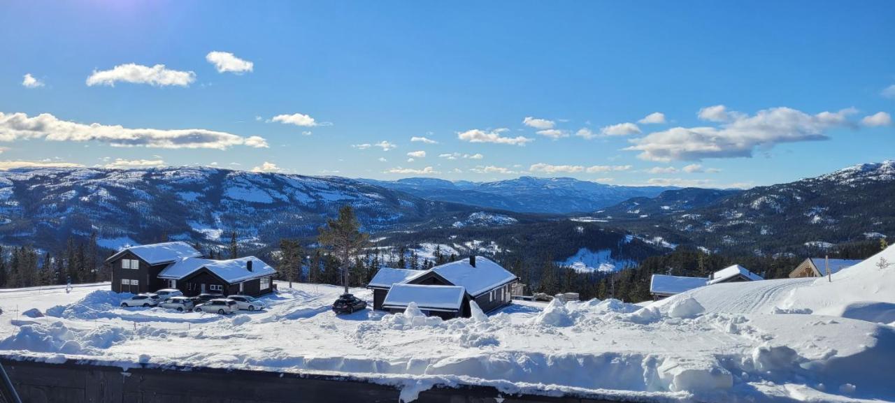 Wonderful Cabin With Amazing Mountain - View Lifjell Luaran gambar