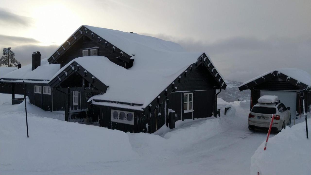 Wonderful Cabin With Amazing Mountain - View Lifjell Luaran gambar