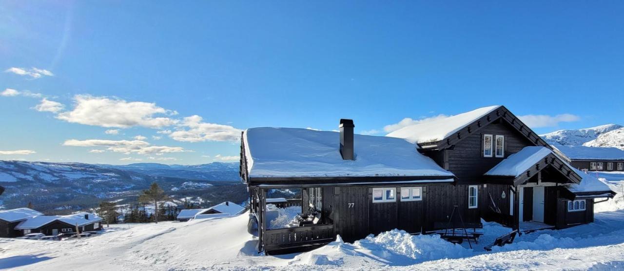 Wonderful Cabin With Amazing Mountain - View Lifjell Luaran gambar